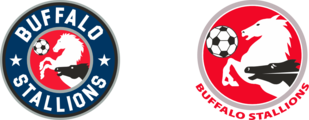 Buffalo Stallions Soccer