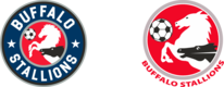 Buffalo Stallions Soccer